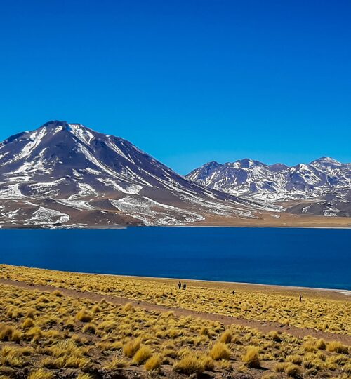 lagunas